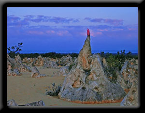 Pink and Grey - Galah