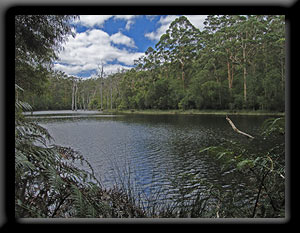 Karri Valley