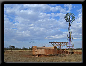 Windmill