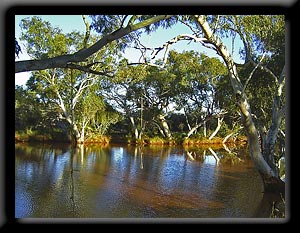 Swimming Hole - Wiluna