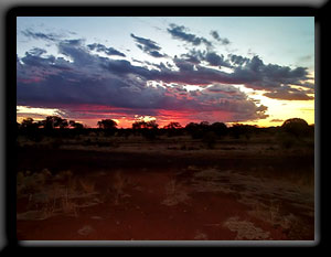 Bush Sunset