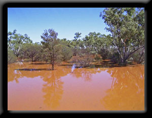 Bush Flood