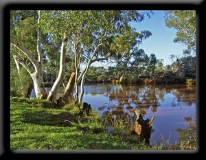 Billabong - Banjo Paterson