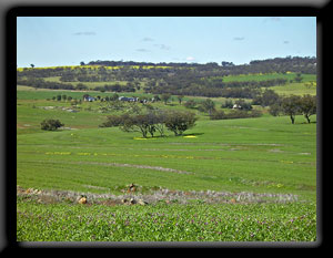 Farm