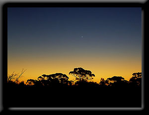 Venus - Evening Star