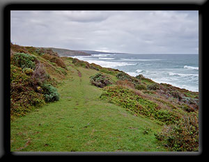 Cape to Cape Walk Track
