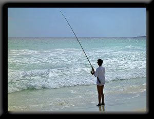 Hamelin Bay - Salmon Fishing