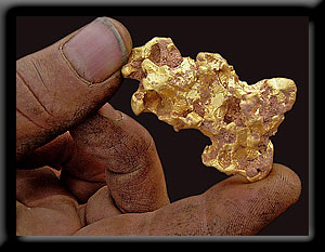 Gold Nugget