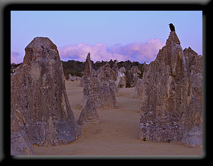 Pinnacles - Western Australia