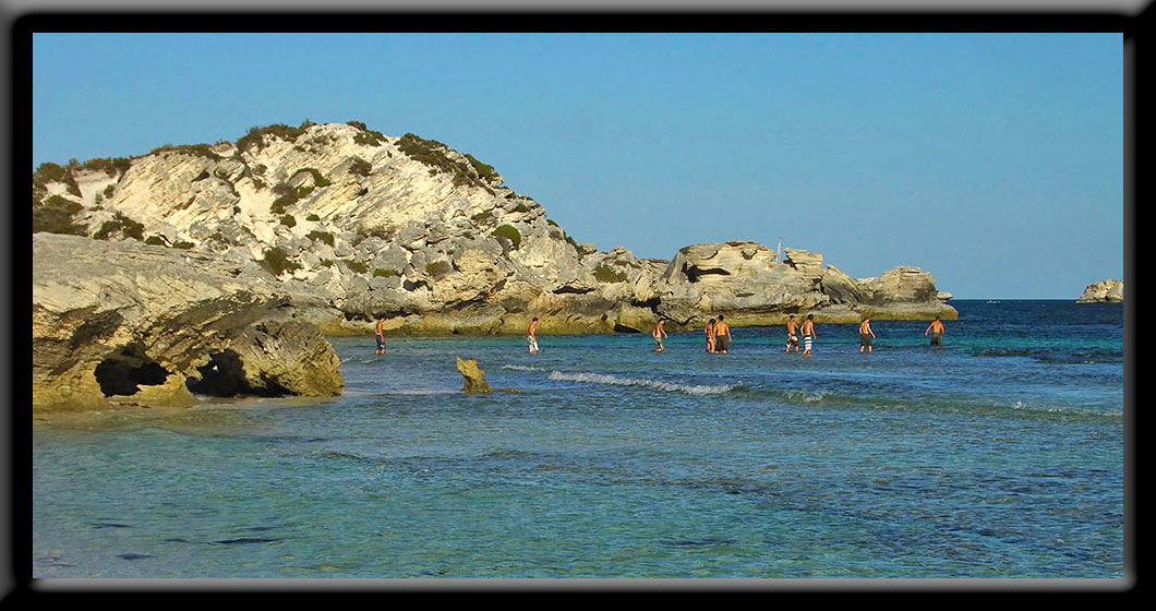 Rottnest swimming