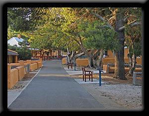 Rottnest Island