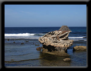 Osprey Nest
