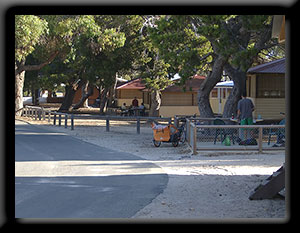 Rottnest settlement