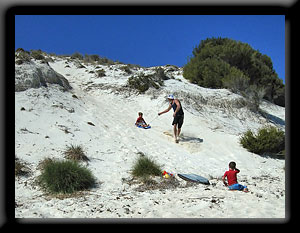 Sandhill