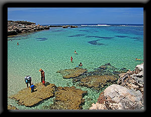 Salmon Bay