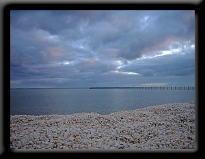 Shell Beach