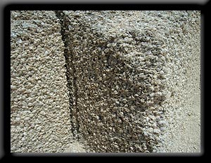 Coquina limestone
