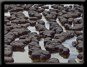 Stromatalite