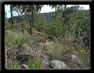 Darling Ranges